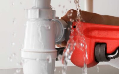 Is It an Insurance Claim or a Home Maintenance Task?